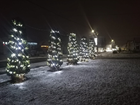  Bildname: NWinter-004.jpg
