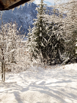  Bildname: Ski2020-002.jpg